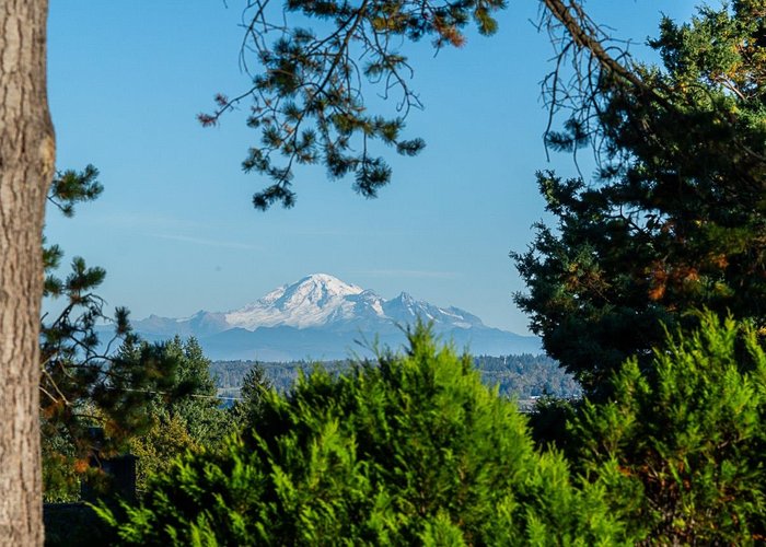 1232 Parker Street, White Rock, BC V4B 4S1 |  Photo 62