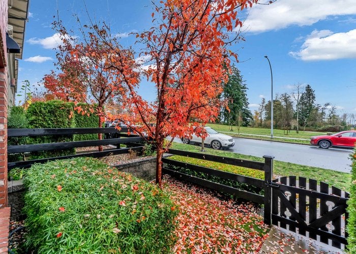 14 - 16260 23A Avenue, Surrey, BC V3Z 0P7 |  Photo 60