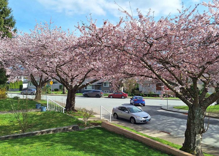 4545 William Street, Burnaby, BC V5C 3K5 |  Photo 23