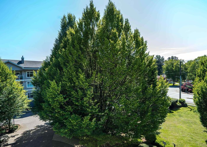 311 - 9018 208 Street, Langley, BC V1M 2Y8 |  Photo 62