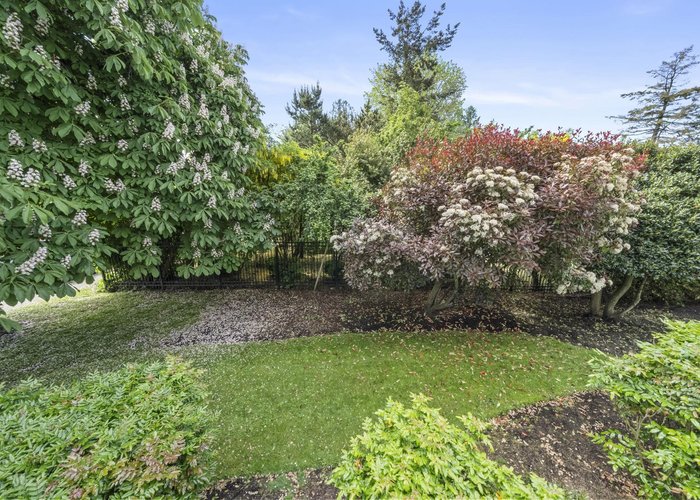 112 - 1341 George Street, White Rock, BC V4B 4A1 |  Photo 45