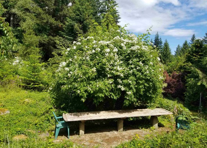 380 Warbler Road, Galiano Island, BC V0N 1P0 |  Photo 60
