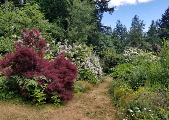 380 Warbler Road, Galiano Island, BC V0N 1P0 |  Photo 64