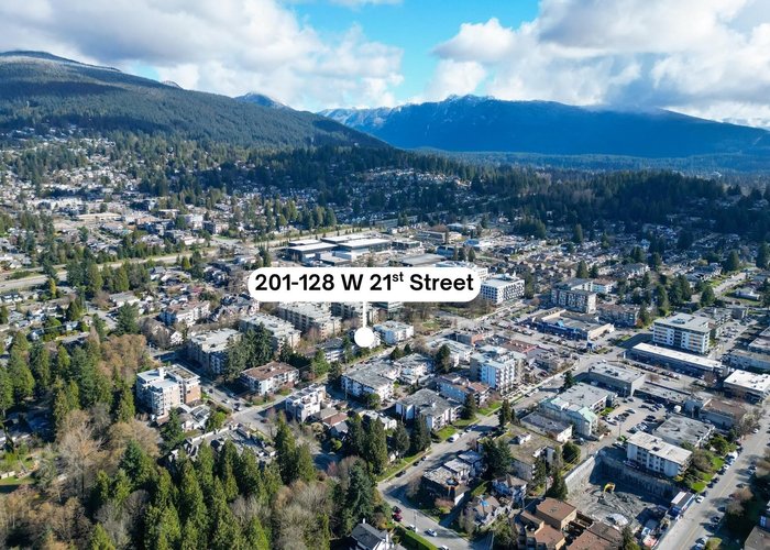 201 - 128 21ST Street, North Vancouver, BC V7M 1Y9 |  Photo 50