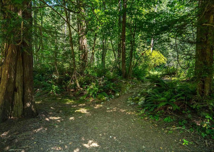 23463 Dogwood Avenue, Maple Ridge, BC V2X 4S4 |  Photo 55