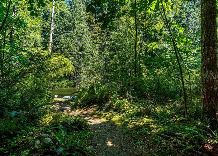 23463 Dogwood Avenue, Maple Ridge, BC V2X 4S4 |  Photo 56