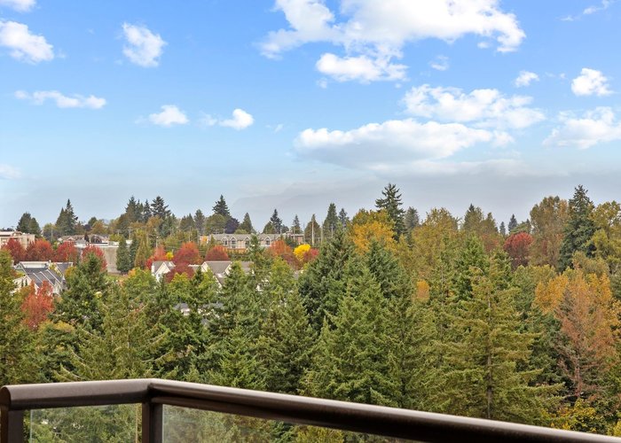 1802 - 6823 Station Hill Drive, Burnaby, BC V3N 0A9 | Belvedere Photo 50