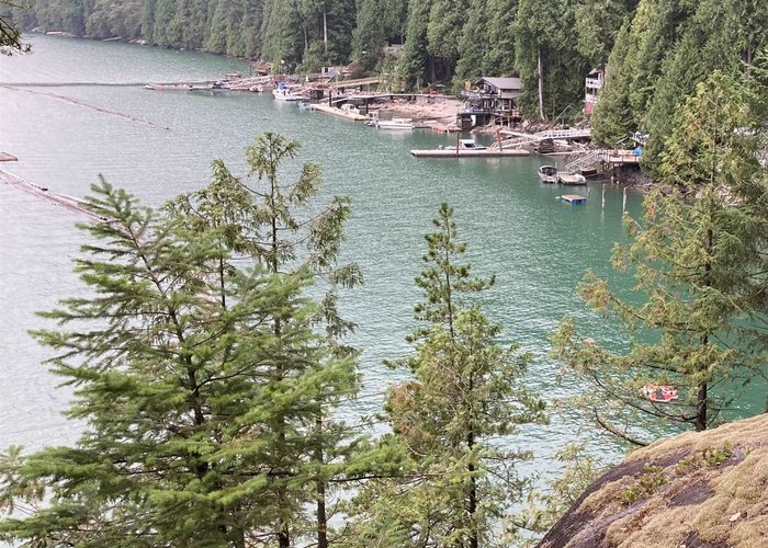 1 Seal Bay, Pitt Meadows, BC V0V 0V0 |  Photo 35