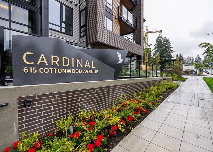 202 - 615 Cottonwood Avenue, Coquitlam, BC V3J 2S5 |  Photo 38