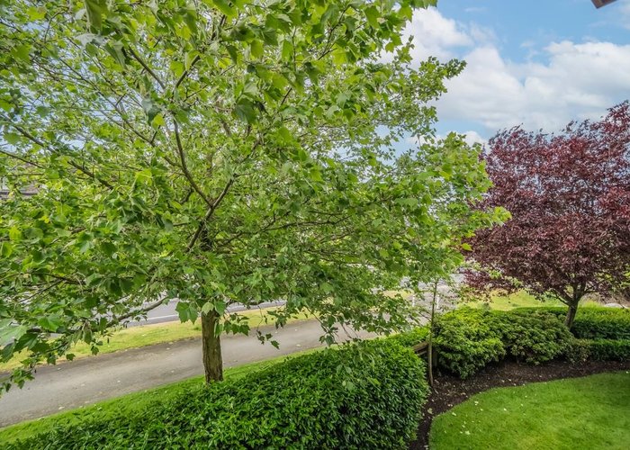 204 - 16421 64 Avenue, Surrey, BC V3S 6V7 |  Photo 61