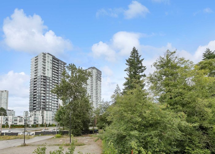 311 - 10128 132 Street, Surrey, BC V3T 3T5 |  Photo 51