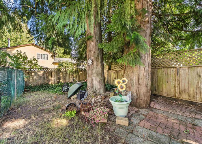 14974 92A Avenue, Surrey, BC V3R 7A5 |  Photo 70