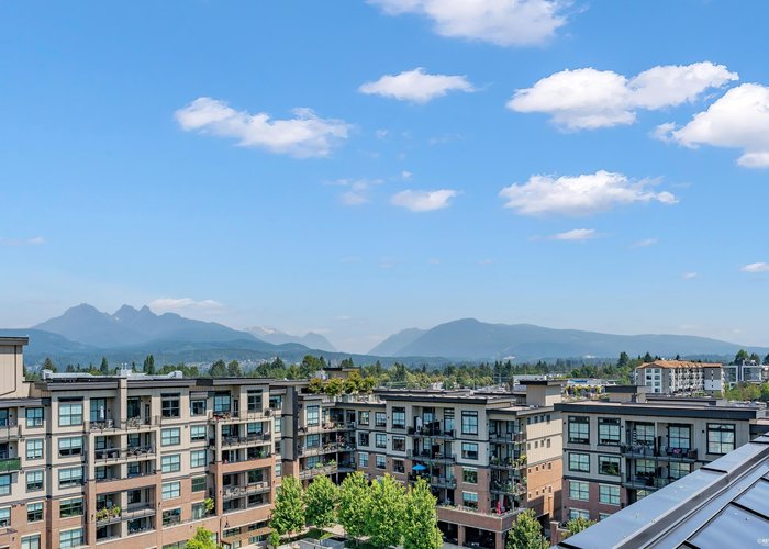 204 - 22633 Selkirk Avenue, Maple Ridge, BC V2X 1C7 |  Photo 51