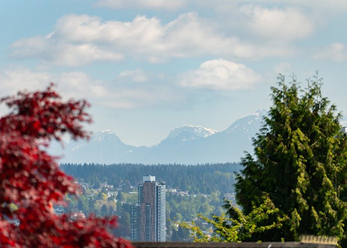 330 Richmond Street, New Westminster, BC V3L 4B8 |  Photo 64
