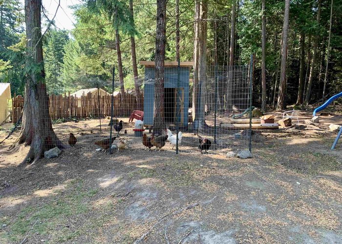 531 Arbutus Drive, Mayne Island, BC V0N 2J1 |  Photo 60