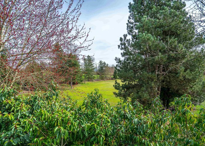 32958 Harwood Place, Abbotsford, BC V2S 7C2 |  Photo 53