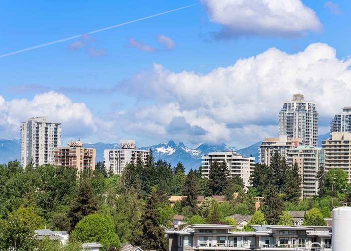 602 - 7683 Park Crescent, Burnaby, BC V3N 0J4 |  Photo 64