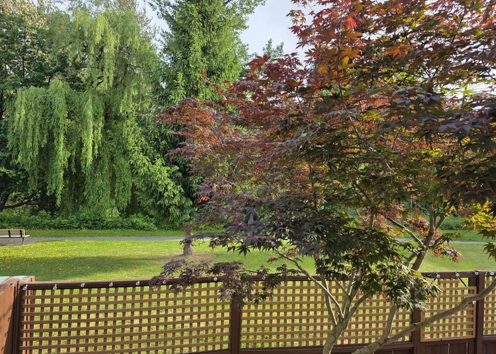 8542 Mccutcheon Avenue, Chilliwack, BC V2P 7K7 |  Photo 71