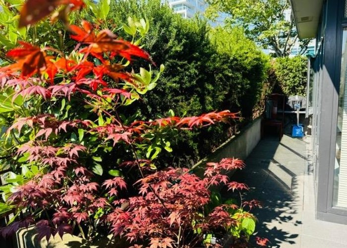 505 - 6351 Buswell Street, Richmond, BC V6Y 0A4 |  Photo 41
