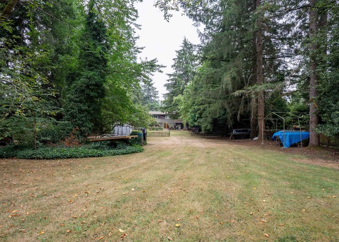 12921 56 Avenue, Surrey, BC V3W 2P4 |  Photo 41