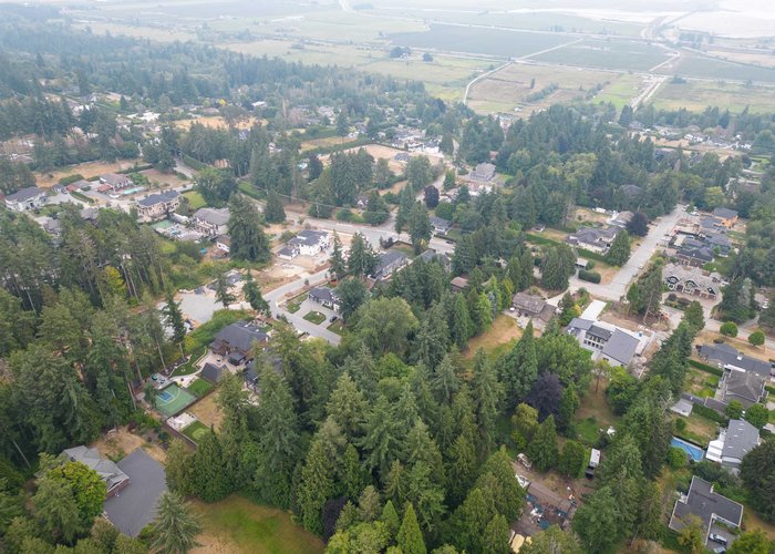 12921 56 Avenue, Surrey, BC V3W 2P4 |  Photo 47