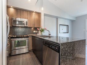 B401 - 20211 66 Avenue, Langley, BC V2Y 0L4 | Elements Photo 1