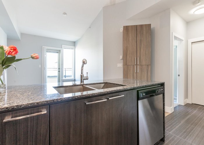 B401 - 20211 66 Avenue, Langley, BC V2Y 0L4 | Elements Photo 43