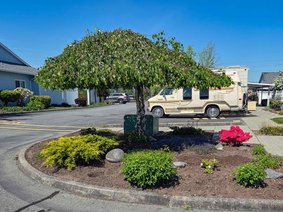 39 - 23580 Dewdney Trunk Road, Maple Ridge, BC V2X 0S8 |  Photo 21