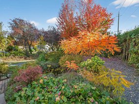 7561 Angus Drive, Vancouver, BC V6P 5K1 |  Photo R3153455-5.jpg