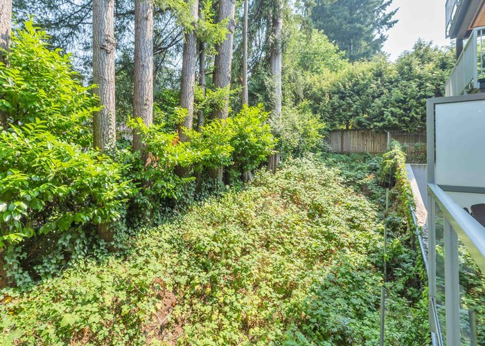 419 - 3229 St. Johns Street, Port Moody, BC V3H 0M4 | Clyde Photo 51