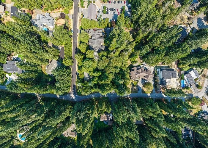 3530 142A Street, Surrey, BC V4P 1M3 |  Photo 48