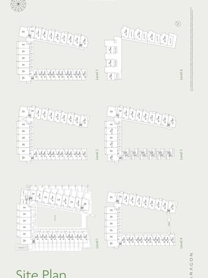 Complex Site Map 1