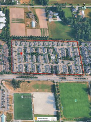 Complex Site Map 2