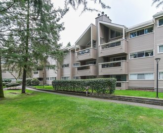 The Shaughnessy - 932 Robinson Street